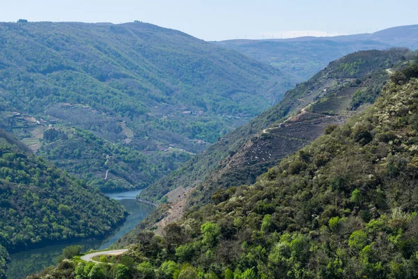 Ribeira Sacra 'daki dağlar arasındaki Sil Nehri Kanyonu