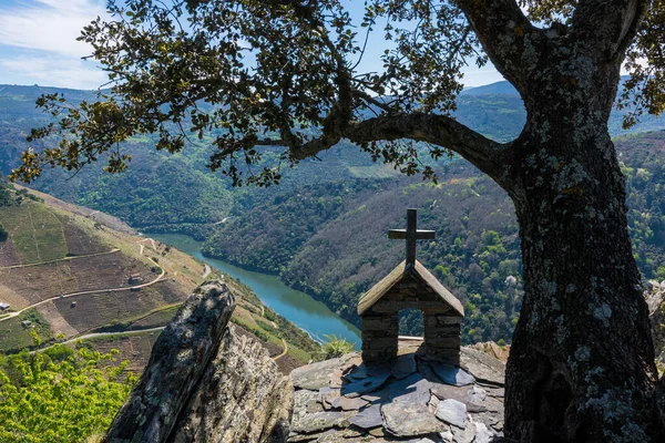Ribeira Sacra 'nın Sil Nehri (Lugo, Galicia, İspanya) kıyısındaki üzüm bağlarının güzel manzarası)