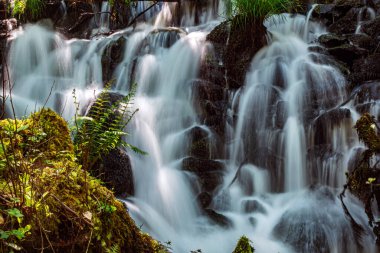 Bir derenin suyu yavaşça kayaların üzerine dökülür küçük ve güzel şelaleler oluşturan yosunlarla.