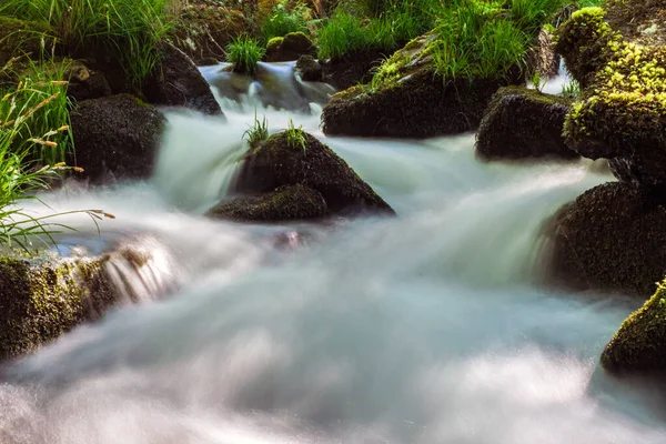 小川の水は岩の上に優しく落ち 苔が小さく美しい滝を形成しています — ストック写真