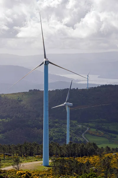 Galiçya, İspanya 'da bir dağdaki rüzgar çiftliğinin güzel manzarası. Yenilenebilir enerji