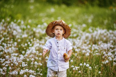 Dandelions ve Fransız ekmeği elinde alanı küçük çocuk