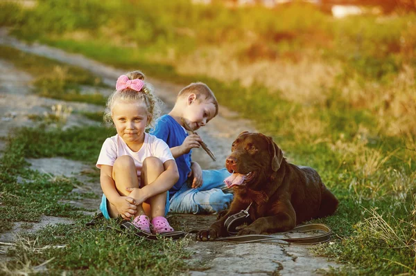 Klein meisje in veld met hond Retriever — Stockfoto