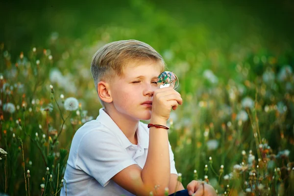 Retrato de un niño en un campo con dientes de león sentado en un campo de colores —  Fotos de Stock