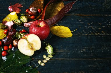 sonbahar natürmort Apple ile karanlık bir arka plan üzerinde