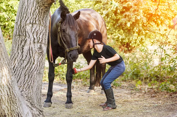Мальчик-жокей, чистит лошадь после тренировки — стоковое фото