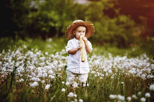 Niño en el campo con dientes de león, vestido con ropa retro — Foto de Stock