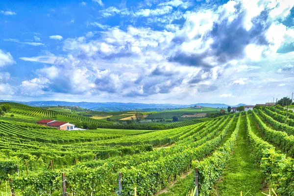 Paisaje en el Langhe —  Fotos de Stock