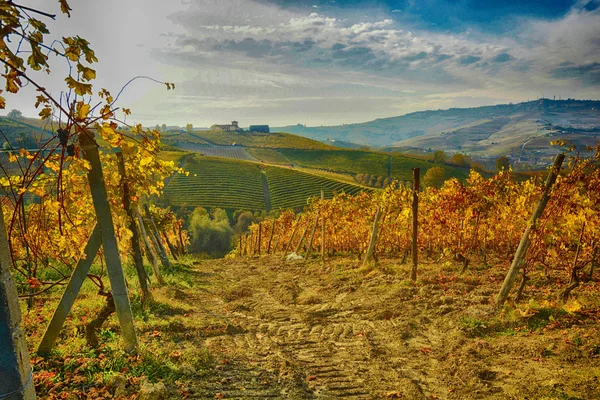 Landschap in de Langhe — Stockfoto