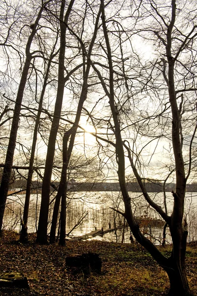 Bosco Konsolosu lago.