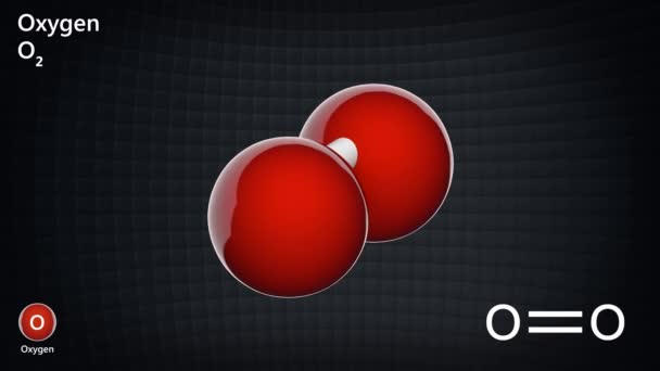 酸素は記号Oと原子番号8の化学元素である 分子は2つの側面から示される 3Dレンダリング シームレスなループだ ボールと棒の化学構造モデル — ストック動画