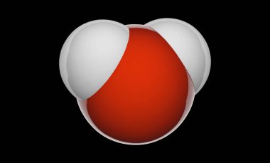 Su (moleküler formül: H2O), birçok hayvan ve bitki yaşamı için gerekli olan berrak, kokusuz ve tatsız bir sıvıdır. Kimyasal yapı modeli: boşluk doldurma. Üç boyutlu illüstrasyon. Siyah arkaplan.