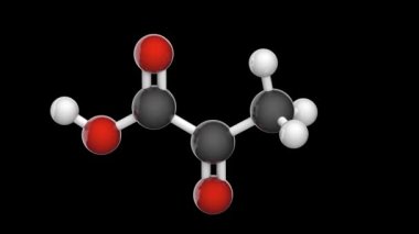 Pyruvic acid (moleküler formül: C3H4O3) karbonhidratlar, proteinler ve yağların metabolizmasında bir ara bileşiktir. Kusursuz döngü. RGB + Alpha (Şeffaf) kanalı.