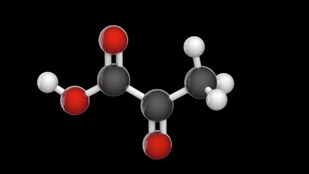 吡咯酸 Pyruvic Acid 分子式 C3H4O3 是碳水化合物 蛋白质和脂肪代谢的中间化合物 无缝圈 Rgb Alpha — 图库视频影像