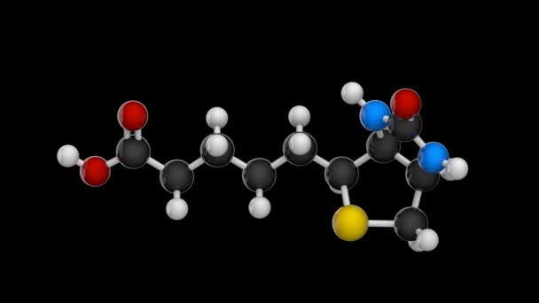 Estructura Molecular Vitamina Biotina También Conocido Como Vitamina Render Lazo — Vídeo de stock