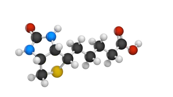 维生素B7 生物素 的分子结构 也被称为维生素H 3D插图 化学结构模型 球和棒 因白人背景而被隔离 — 图库照片