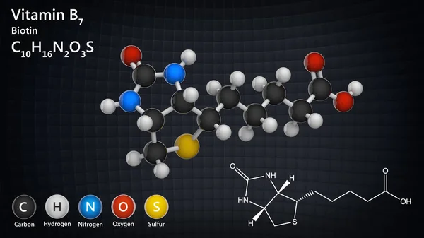 Molecular structure of Vitamin B7(biotin). Also known as Vitamin H. 3D illustration. Chemical structure model: Ball and Stick.