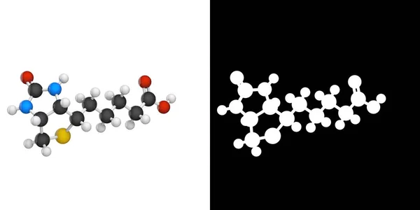 Moleculaire Structuur Van Vitamine Biotine Ook Bekend Als Vitamine Illustratie — Stockfoto