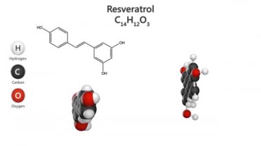 Resveratrolün moleküler yapısı - antioksidan ve potansiyel kemoterapi aktiviteleri. C14H12O3. Yapı modeli: Top ve Çubuk + Boşluk Doldurma. 3 boyutlu görüntüleme. Kusursuz döngü. Beyaz arkaplan.