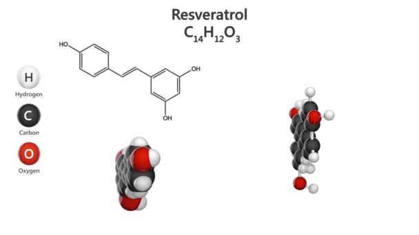 白藜芦醇的分子结构 抗氧化剂和潜在的化学还原活性 C14H12O3 结构模型 空间填充物 3D渲染 无缝圈 白人背景 — 图库视频影像