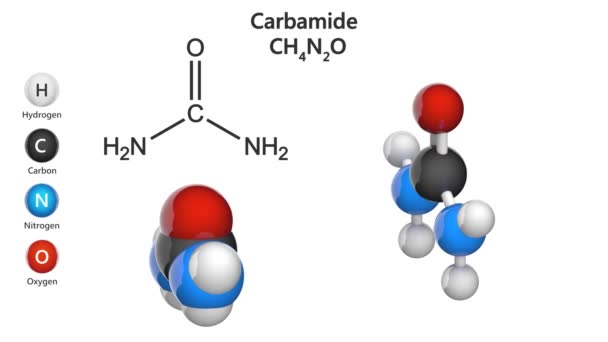 Urea Известный Карбамид Является Органическим Соединением Химической Формулой Ch4N2O Модель — стоковое видео