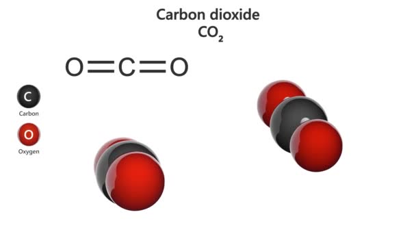 Dióxido Carbono Co2 Gas Incoloro Inodoro Forma Proceso Respiración Modelo — Vídeo de stock