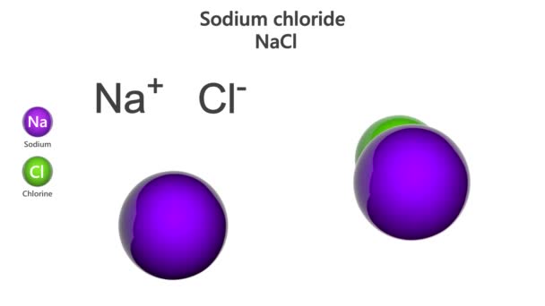 塩化ナトリウムは一般に塩として知られており 化学式Naclを持つイオン化合物である 化学構造モデル ボールとスティック 空間充填 3Dレンダリング シームレスなループだ 白地に隔離された — ストック動画