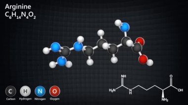 Arginine (moleküler formül: C6H14N4O2) insanlarda önemli bir amino asittir. 3 boyutlu görüntüleme. Kusursuz döngü. Kimyasal yapı modeli: Top ve Sopa.