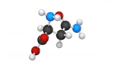 Kuşkonmaz (sembolü Asn veya N), proteinlerin biyosentezinde kullanılan bir amino asittir. Formül: C4H8N2O3. 3 boyutlu görüntüleme. Kusursuz döngü. Kimyasal yapı modeli, top ve sopa. Beyaz arkaplan.