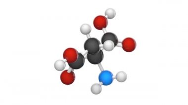 Aspartik asit (sembolü Asp veya D), proteinlerin biyosentezinde kullanılan bir amino asittir. Formül: C4H7NO4. 3 boyutlu görüntüleme. Kusursuz döngü. Kimyasal yapı modeli, top ve sopa. Beyaz arkaplan.