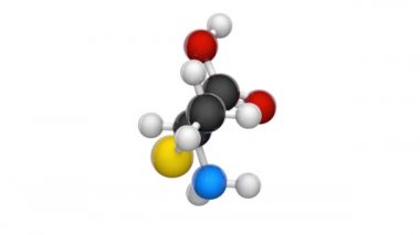 Sistemin (sembolü Cys veya C) yarıönemli bir proteojenik amino asittir. Formül: C3H7NO2S. 3 boyutlu görüntüleme. Kusursuz döngü. Kimyasal yapı modeli, top ve sopa. Beyaz arkaplan.