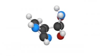 Histidin (sembolü O 'nun veya H) proteinlerin biyosentezinde kullanılan bir amino asittir. Formül: C6H9N3O2. 3 boyutlu görüntüleme. Kusursuz döngü. Kimyasal yapı modeli, top ve sopa. Beyaz arkaplan.