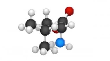 Leucine (sembolü Leu veya L) proteinlerin biyosentezinde kullanılan önemli bir amino asittir. Formül, C6H13NO2. 3 boyutlu görüntüleme. Kusursuz döngü. Yapı modeli, top ve sopa. Beyaz arkaplan.