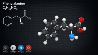 Fenilalanin (sembolü Phe veya F) formülü C9H11NO2 olan önemli bir amino asittir. 3 boyutlu görüntüleme. Kusursuz döngü. Kimyasal yapı modeli: Top ve Sopa.
