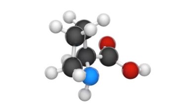 Prolin (sembol Pro veya P) insanlarda gerekli olmayan bir döngüsel amino asittir. Formül: C5H9NO2. 3 boyutlu görüntüleme. Kusursuz döngü. Kimyasal yapı modeli, top ve sopa. Beyaz arkaplan.