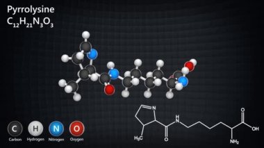Pyrrolysine (sembolü Pyl veya O) kimyasal formülü C12H21N3O3 olan organik bir bileşiktir. 3 boyutlu görüntüleme. Kusursuz döngü. Kimyasal yapı modeli: Top ve Sopa.