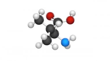 Valine (sembolü Val veya V) proteinlerin biyosentezinde kullanılan bir amino asittir. Formül: C5H11NO2. 3 boyutlu görüntüleme. Kusursuz döngü. Kimyasal yapı modeli, top ve sopa. Beyaz arkaplan.