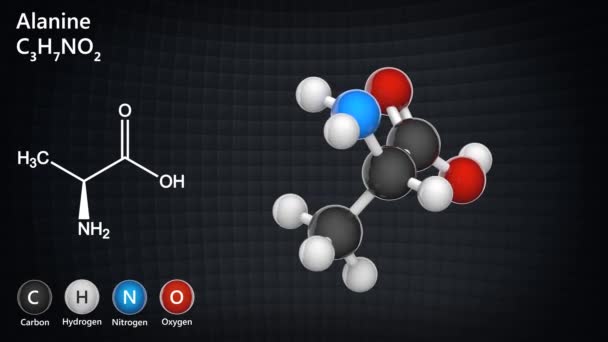 丙氨酸 Alanine 缩写为Ala或A 是人类体内一种小的非必需氨基酸 分子式 C3H7No2 3D渲染 无缝圈 化学结构模型 球与棒 — 图库视频影像