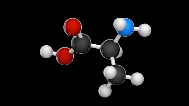 알라닌 Alanine Ala 사람의 비필수 아미노산이다 분자식 C3H7No2 렌더링 바다없는 — 비디오