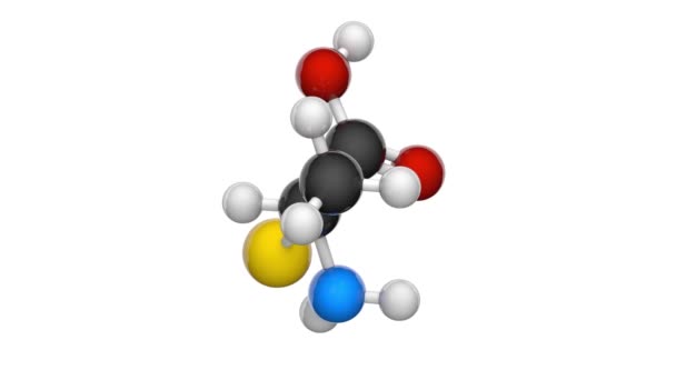 Cisteína Símbolo Cys Aminoácido Proteinogénico Semiesencial Fórmula C3H7No2S Representación Lazo — Vídeos de Stock