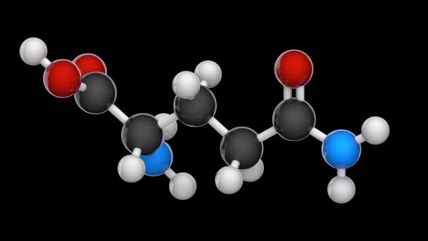 谷氨酰胺 Glutamine 符号Gln或Q 是一种氨基酸 用于蛋白质的生物合成 方程式 C5H10N2O3 3D渲染 无缝圈 模特儿 — 图库视频影像