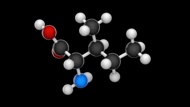 Histidine 단백질의 생합성에 사용되는 아미노산이다 C6H9N3O2 렌더링 바다없는 Rgb Alpha — 비디오