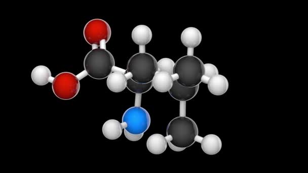 Leucine Symbol Leu Essential Amino Acid Used Biosynthesis Proteins Formula — Stock Video