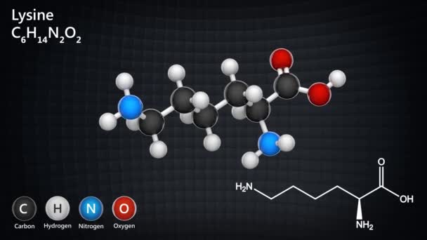 Lisina Símbolo Lys Aminoácido Que Utiliza Biosíntesis Las Proteínas Fórmula — Vídeo de stock