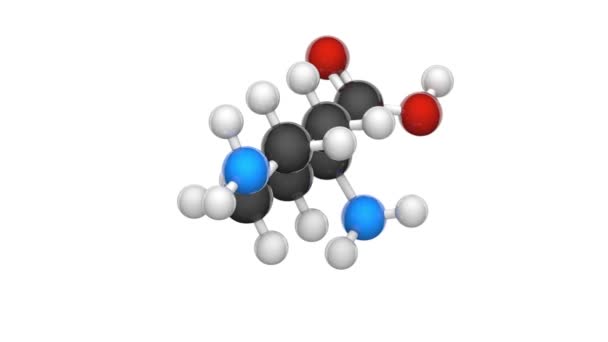 Lysin Sembolü Lys Veya Proteinlerin Biyosentezinde Kullanılan Bir Amino Asittir — Stok video