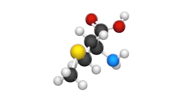 메티오닌 Methionine Met 인간의 아미노산이다 C5H11No2S 렌더링 바다없는 — 비디오