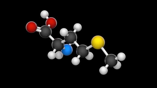 Methionine Symbol Met Essential Amino Acid Humans Formula C5H11No2S Render — Stock Video