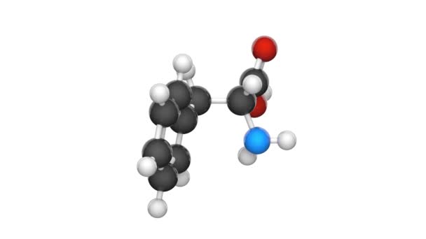 Fenilalanina Simbolo Phe Aminoacido Essenziale Con Formula C9H11No2 Rendering Loop — Video Stock