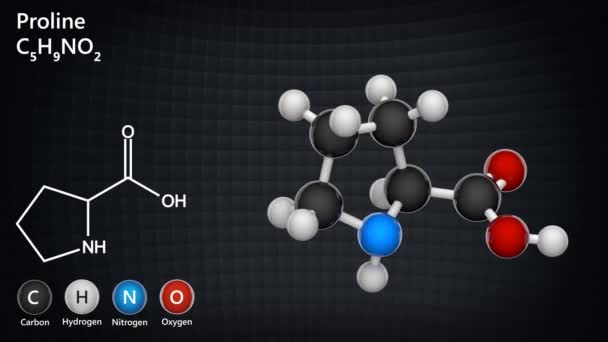 脯氨酸 Proline 缩写为Pro或P 是一种循环的 非必需的氨基酸 方程式 C5H9No2 3D渲染 无缝圈 化学结构模型 — 图库视频影像
