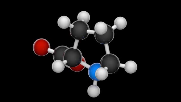 Prolin Symbol Pro Nebo Cyklická Neesenciální Aminokyselina Lidí Vzorec C5H9No2 — Stock video